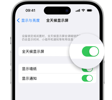 塔城苹果15预约维修分享iPhone15如何设置全天候显示屏幕可见 